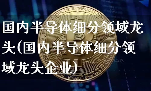 国内半导体细分领域龙头(国内半导体细分领域龙头企业)_https://www.cangshenghg.com_北交所_第1张