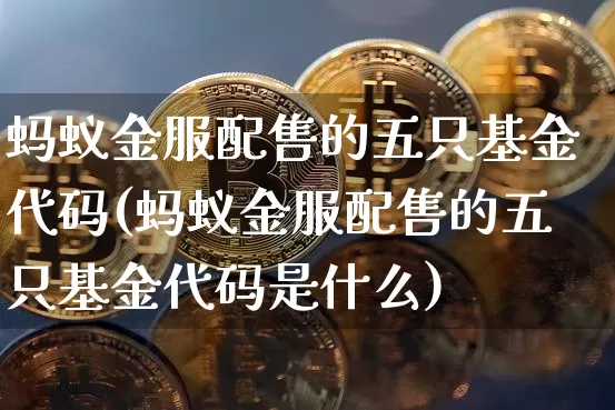 蚂蚁金服配售的五只基金代码(蚂蚁金服配售的五只基金代码是什么)_https://www.cangshenghg.com_北交所_第1张