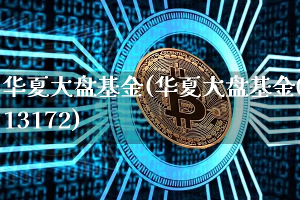 华夏大盘基金(华夏大盘基金013172)_https://www.cangshenghg.com_北交所_第1张
