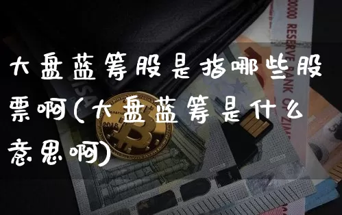 大盘蓝筹股是指哪些股票啊(大盘蓝筹是什么意思啊)_https://www.cangshenghg.com_A股_第1张