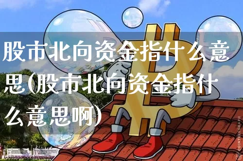 股市北向资金指什么意思(股市北向资金指什么意思啊)_https://www.cangshenghg.com_财经新闻_第1张