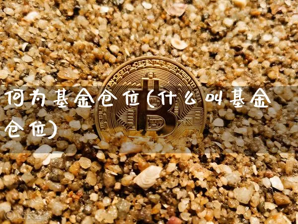 何为基金仓位(什么叫基金仓位)_https://www.cangshenghg.com_创业板_第1张