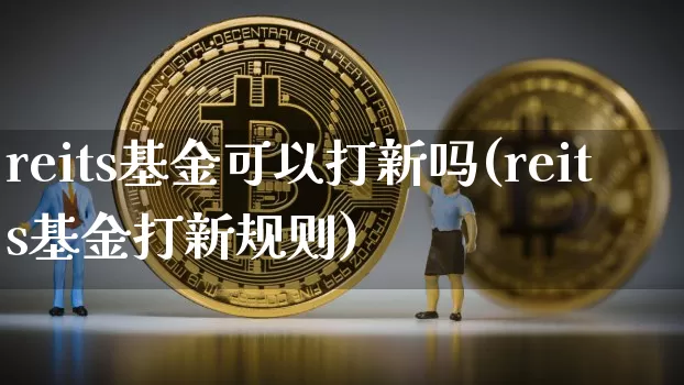 reits基金可以打新吗(reits基金打新规则)_https://www.cangshenghg.com_北交所_第1张