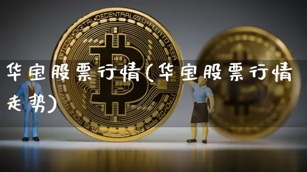 华宝股票行情(华宝股票行情走势)_https://www.cangshenghg.com_财经新闻_第1张