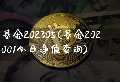 基金202305(基金202001今日净值查询)_https://www.cangshenghg.com_北交所_第1张