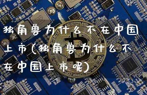 独角兽为什么不在中国上市(独角兽为什么不在中国上市呢)_https://www.cangshenghg.com_科创板_第1张
