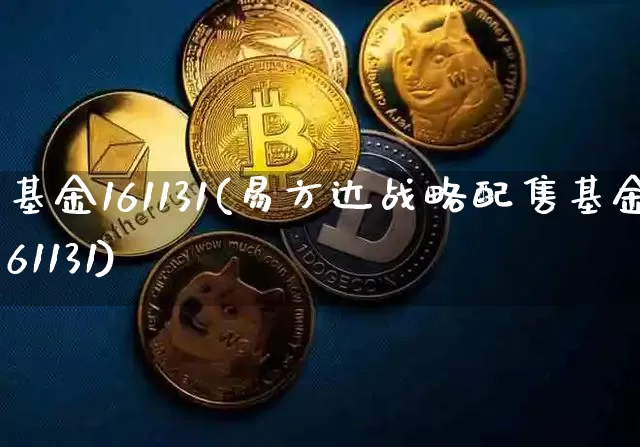 基金161131(易方达战略配售基金161131)_https://www.cangshenghg.com_创业板_第1张