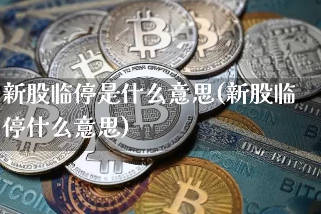 新股临停是什么意思(新股临停什么意思)_https://www.cangshenghg.com_A股_第1张