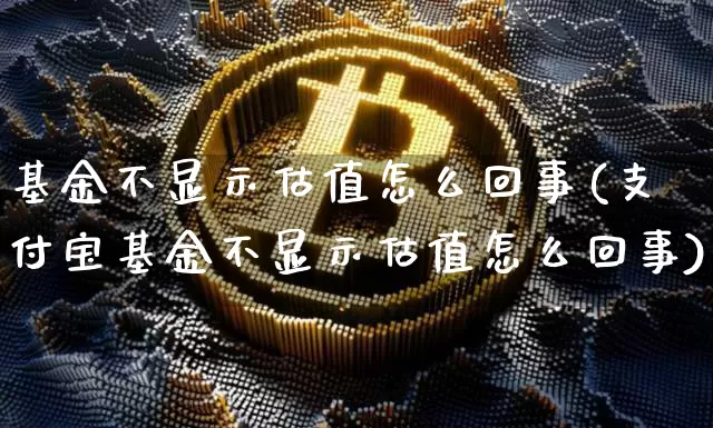 基金不显示估值怎么回事(支付宝基金不显示估值怎么回事)_https://www.cangshenghg.com_北交所_第1张