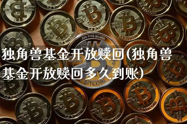 独角兽基金开放赎回(独角兽基金开放赎回多久到账)_https://www.cangshenghg.com_北交所_第1张