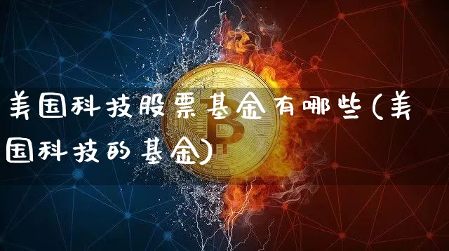 美国科技股票基金有哪些(美国科技的基金)_https://www.cangshenghg.com_财经新闻_第1张