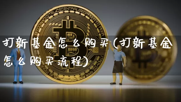 打新基金怎么购买(打新基金怎么购买流程)_https://www.cangshenghg.com_北交所_第1张