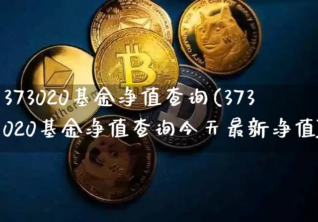 373020基金净值查询(373020基金净值查询今天最新净值)_https://www.cangshenghg.com_北交所_第1张