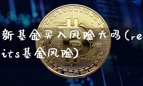 新基金买入风险大吗(reits基金风险)_https://www.cangshenghg.com_北交所_第1张