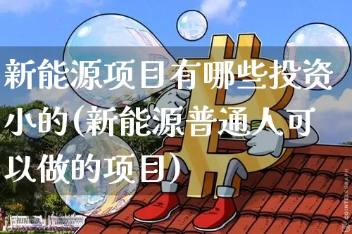 新能源项目有哪些投资小的(新能源普通人可以做的项目)_https://www.cangshenghg.com_财经新闻_第1张