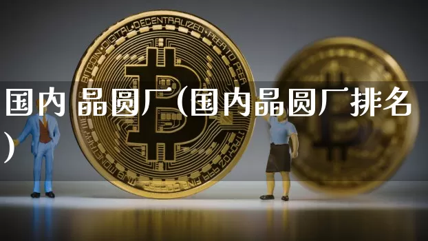 国内 晶圆厂(国内晶圆厂排名)_https://www.cangshenghg.com_财经新闻_第1张