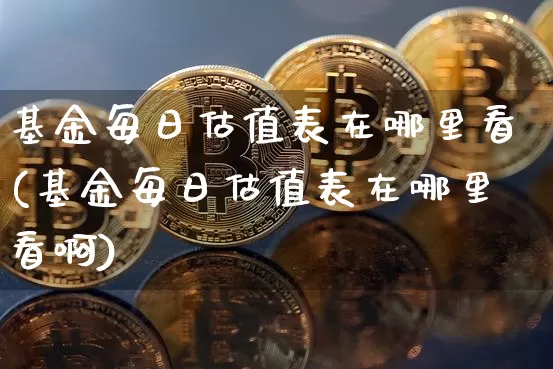 基金每日估值表在哪里看(基金每日估值表在哪里看啊)_https://www.cangshenghg.com_科创板_第1张