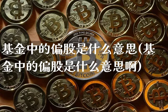 基金中的偏股是什么意思(基金中的偏股是什么意思啊)_https://www.cangshenghg.com_科创板_第1张