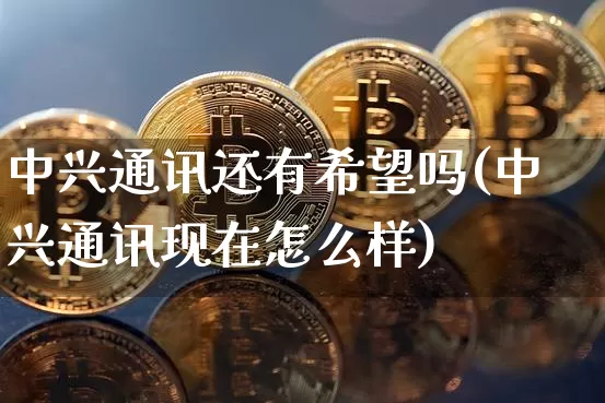 中兴通讯还有希望吗(中兴通讯现在怎么样)_https://www.cangshenghg.com_北交所_第1张
