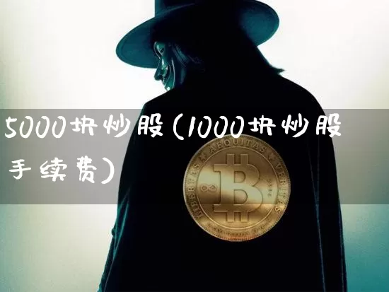 5000块炒股(1000块炒股手续费)_https://www.cangshenghg.com_北交所_第1张