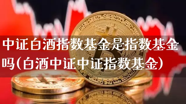 中证白酒指数基金是指数基金吗(白酒中证中证指数基金)_https://www.cangshenghg.com_创业板_第1张