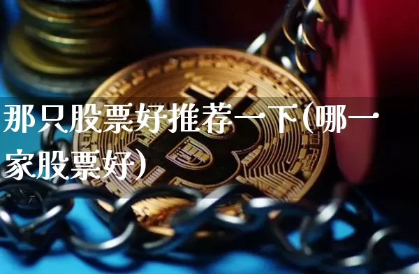 那只股票好推荐一下(哪一家股票好)_https://www.cangshenghg.com_科创板_第1张