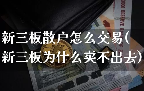 新三板散户怎么交易(新三板为什么卖不出去)_https://www.cangshenghg.com_财经新闻_第1张