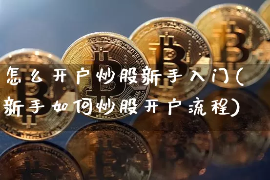 怎么开户炒股新手入门(新手如何炒股开户流程)_https://www.cangshenghg.com_北交所_第1张