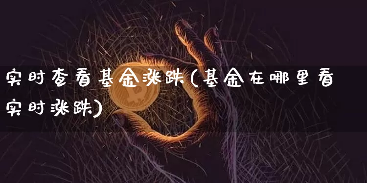 实时查看基金涨跌(基金在哪里看实时涨跌)_https://www.cangshenghg.com_科创板_第1张