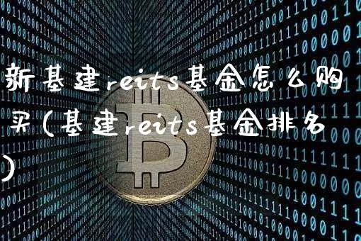 新基建reits基金怎么购买(基建reits基金排名)_https://www.cangshenghg.com_创业板_第1张
