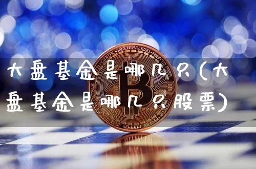 大盘基金是哪几只(大盘基金是哪几只股票)_https://www.cangshenghg.com_北交所_第1张
