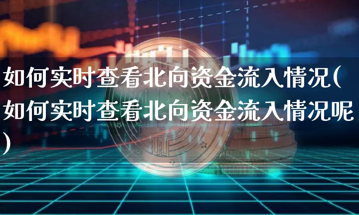 如何实时查看北向资金流入情况(如何实时查看北向资金流入情况呢)_https://www.cangshenghg.com_创业板_第1张