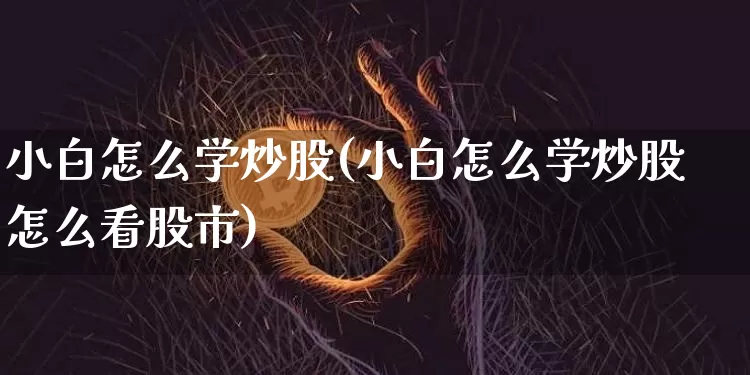 小白怎么学炒股(小白怎么学炒股怎么看股市)_https://www.cangshenghg.com_财经新闻_第1张