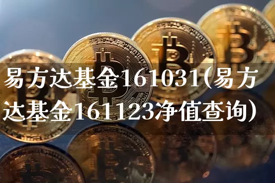 易方达基金161031(易方达基金161123净值查询)_https://www.cangshenghg.com_创业板_第1张