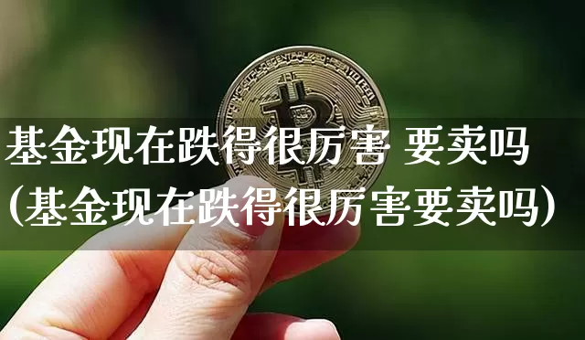 基金现在跌得很厉害 要卖吗(基金现在跌得很厉害要卖吗)_https://www.cangshenghg.com_北交所_第1张