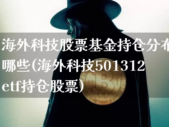 海外科技股票基金持仓分布有哪些(海外科技501312etf持仓股票)_https://www.cangshenghg.com_创业板_第1张