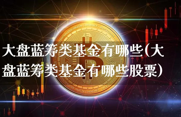 大盘蓝筹类基金有哪些(大盘蓝筹类基金有哪些股票)_https://www.cangshenghg.com_财经新闻_第1张