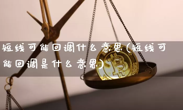 短线可能回调什么意思(短线可能回调是什么意思)_https://www.cangshenghg.com_A股_第1张