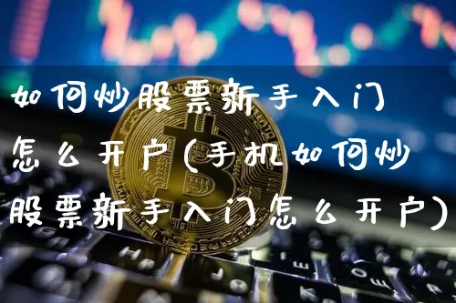 如何炒股票新手入门 怎么开户(手机如何炒股票新手入门怎么开户)_https://www.cangshenghg.com_创业板_第1张