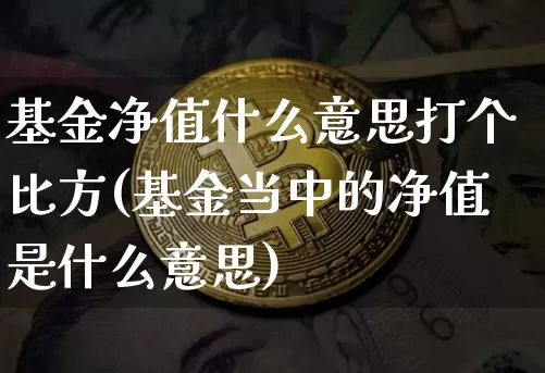 基金净值什么意思打个比方(基金当中的净值是什么意思)_https://www.cangshenghg.com_创业板_第1张