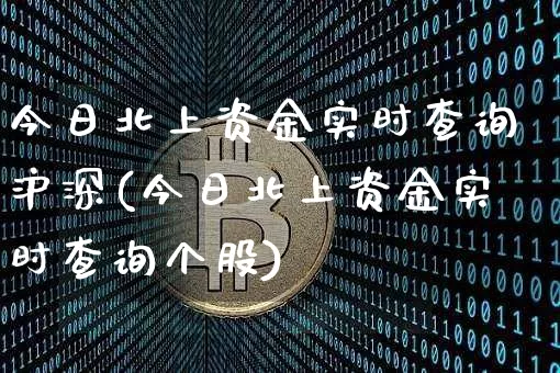 今日北上资金实时查询沪深(今日北上资金实时查询个股)_https://www.cangshenghg.com_科创板_第1张