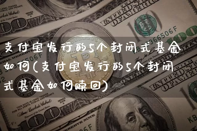 支付宝发行的5个封闭式基金如何(支付宝发行的5个封闭式基金如何赎回)_https://www.cangshenghg.com_北交所_第1张