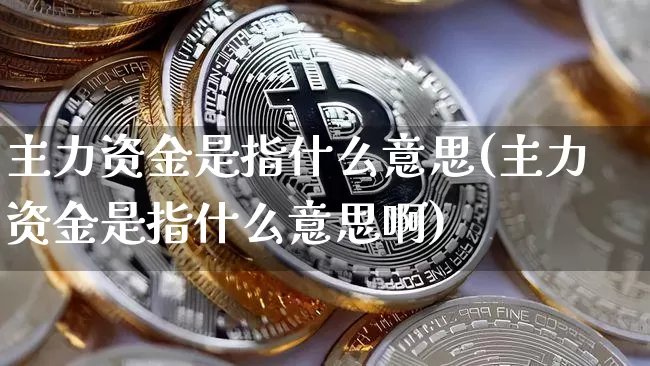主力资金是指什么意思(主力资金是指什么意思啊)_https://www.cangshenghg.com_北交所_第1张