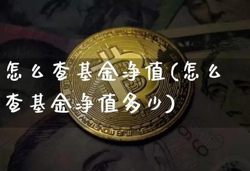怎么查基金净值(怎么查基金净值多少)_https://www.cangshenghg.com_北交所_第1张