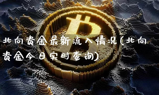 北向资金最新流入情况(北向资金今日实时查询)_https://www.cangshenghg.com_北交所_第1张
