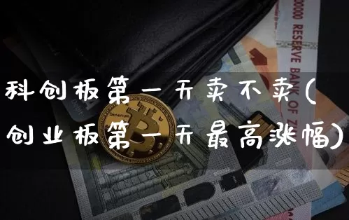 科创板第一天卖不卖(创业板第一天最高涨幅)_https://www.cangshenghg.com_创业板_第1张