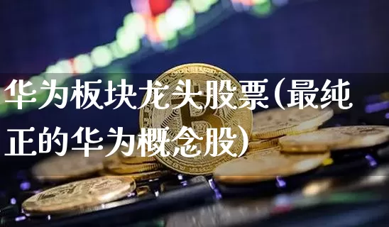 华为板块龙头股票(最纯正的华为概念股)_https://www.cangshenghg.com_科创板_第1张