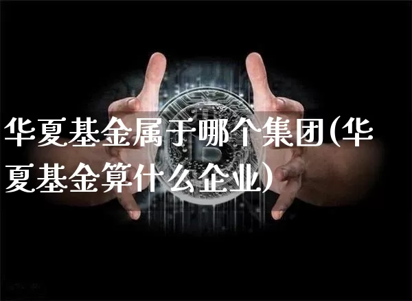 华夏基金属于哪个集团(华夏基金算什么企业)_https://www.cangshenghg.com_创业板_第1张