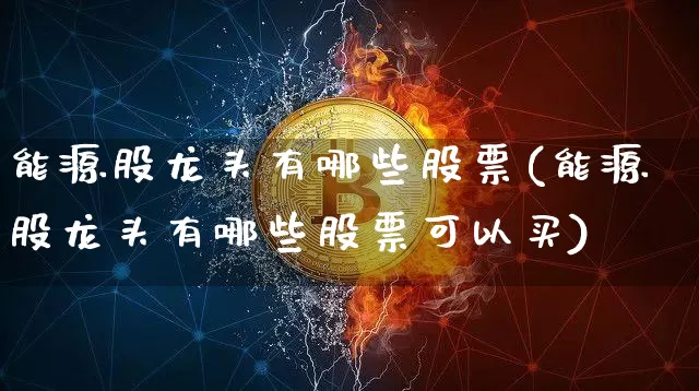 能源股龙头有哪些股票(能源股龙头有哪些股票可以买)_https://www.cangshenghg.com_科创板_第1张