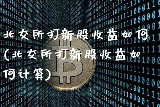 北交所打新股收益如何(北交所打新股收益如何计算)_https://www.cangshenghg.com_A股_第1张